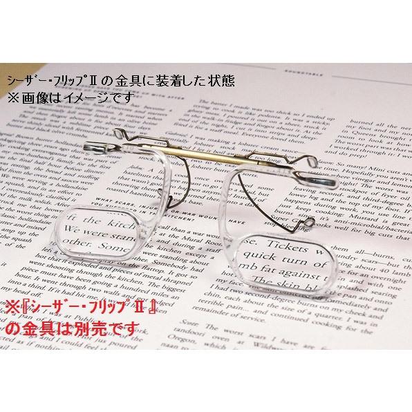 パール シーザー・ルーペ（クリア/1.6倍） | Pearl | 01