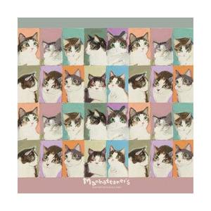 パール マンハッタナーズ メガネ拭き MX300MAN MAN30 | Pearl