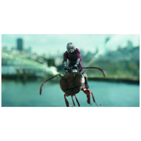 ウォルト・ディズニー・ジャパン アントマン＆ワスプ 4K UHD MovieNEX プレミアムBOX 【Ultra HD ブルーレイソフト】 |  | 07