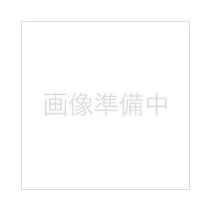 NNC 硼砂（ホウシャ）500g 【864】 | 