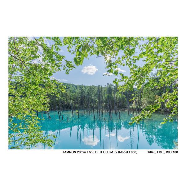 TAMRON(タムロン) カメラレンズ　20mm F/2.8 Di III OSD M1:2（Model F050）【ソニーEマウント】 [ソニーE /単焦点レンズ] 【864】 [振込不可][代引不可] | TAMRON | 03