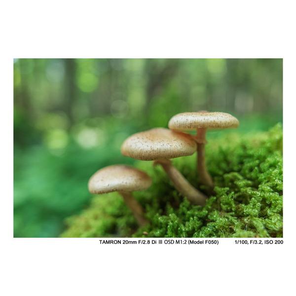 TAMRON(タムロン) カメラレンズ　20mm F/2.8 Di III OSD M1:2（Model F050）【ソニーEマウント】 [ソニーE /単焦点レンズ] 【864】 [振込不可][代引不可] | TAMRON | 05