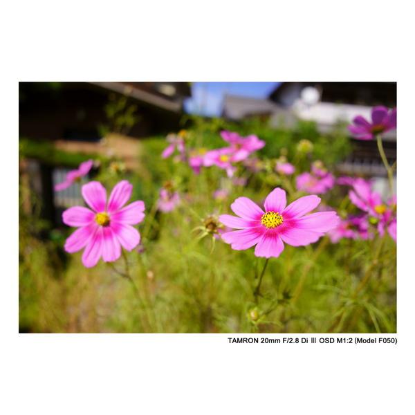 TAMRON(タムロン) カメラレンズ　20mm F/2.8 Di III OSD M1:2（Model F050）【ソニーEマウント】 [ソニーE /単焦点レンズ] 【864】 [振込不可][代引不可] | TAMRON | 06