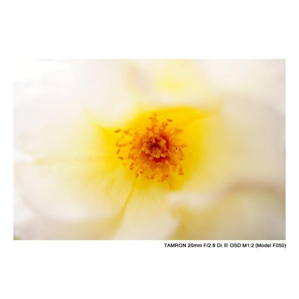 TAMRON(タムロン) カメラレンズ　20mm F/2.8 Di III OSD M1:2（Model F050）【ソニーEマウント】 [ソニーE /単焦点レンズ] 【864】 [振込不可][代引不可] | TAMRON | 07