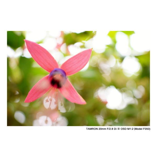 TAMRON(タムロン) カメラレンズ　20mm F/2.8 Di III OSD M1:2（Model F050）【ソニーEマウント】 [ソニーE /単焦点レンズ] 【864】 [振込不可][代引不可] | TAMRON | 08