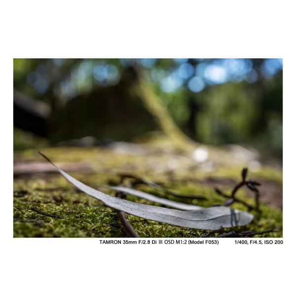 TAMRON(タムロン) カメラレンズ　35mm F/2.8 Di III OSD M1:2（Model F053）【ソニーEマウント】 [ソニーE /単焦点レンズ] [代引不可] | TAMRON | 05