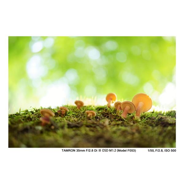 TAMRON(タムロン) カメラレンズ　35mm F/2.8 Di III OSD M1:2（Model F053）【ソニーEマウント】 [ソニーE /単焦点レンズ] [代引不可] | TAMRON | 07