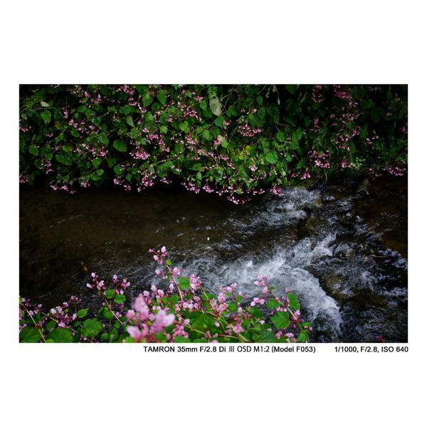 TAMRON(タムロン) カメラレンズ　35mm F/2.8 Di III OSD M1:2（Model F053）【ソニーEマウント】 [ソニーE /単焦点レンズ] [代引不可] | TAMRON | 08