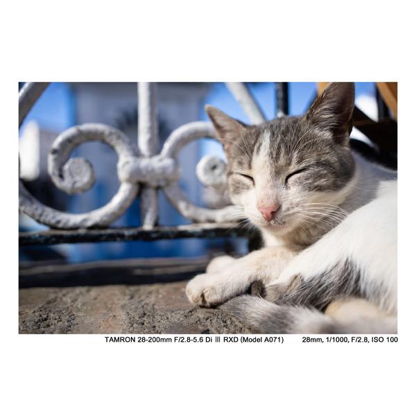 TAMRON(タムロン) カメラレンズ 28-200mm F/2.8-5.6 Di III RXD（Model A071S）    ［ソニーE /ズームレンズ］ [振込不可][代引不可] | TAMRON | 06