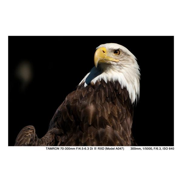 TAMRON(タムロン) カメラレンズ 70-300mm F/4.5-6.3 Di III RXD（Model A047S）    ［ソニーE /ズームレンズ］ | TAMRON | 05