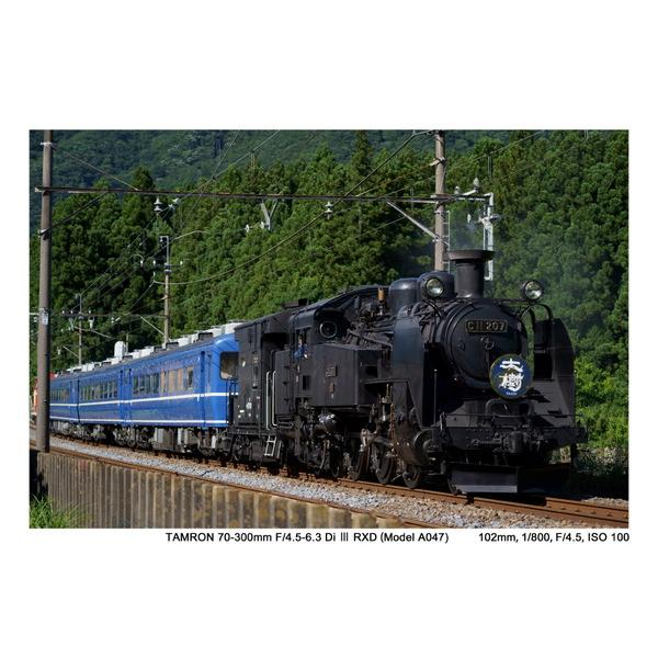 TAMRON(タムロン) カメラレンズ 70-300mm F/4.5-6.3 Di III RXD（Model A047S）    ［ソニーE /ズームレンズ］ | TAMRON | 09