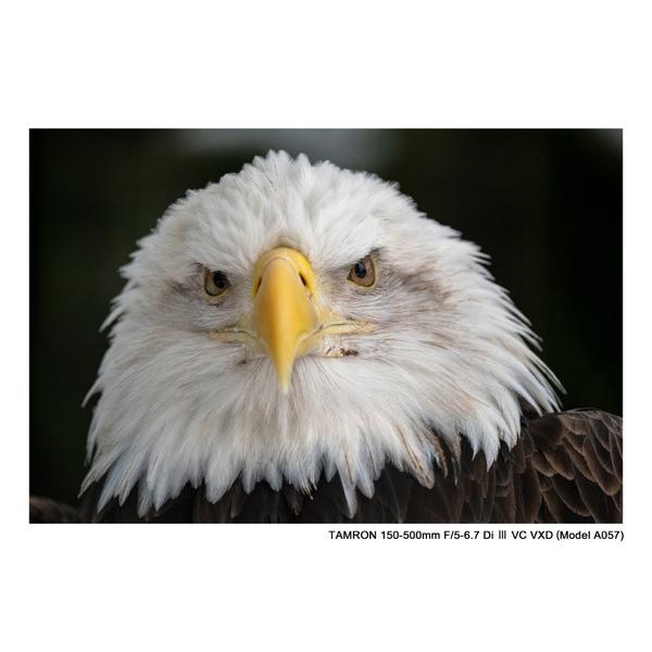 TAMRON(タムロン) カメラレンズ 150-500mm F/5-6.7 Di III VC VXD（Model A057S）    ［ソニーE /ズームレンズ］ | TAMRON | 09