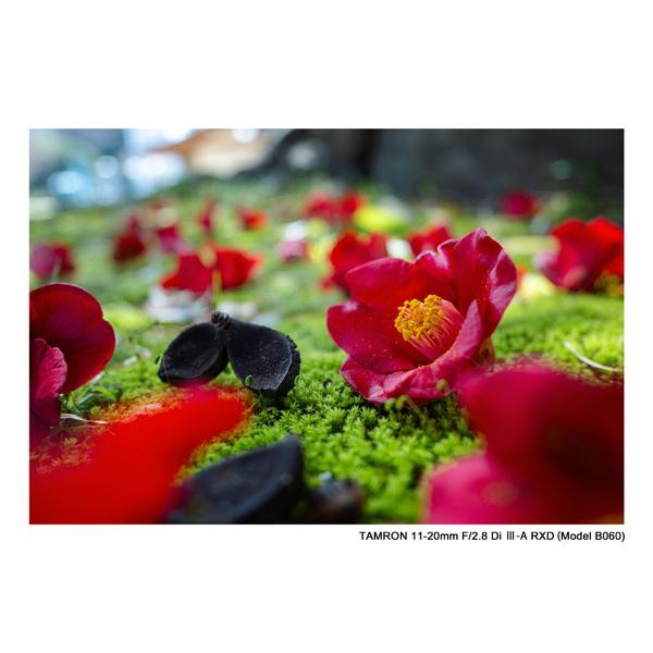 TAMRON(タムロン) カメラレンズ 11-20mm F/2.8 Di III-A RXD（Model B060S）    ［ソニーE /ズームレンズ］ | TAMRON | 05