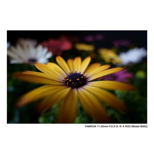 TAMRON(タムロン) カメラレンズ 11-20mm F/2.8 Di III-A RXD（Model B060S）    ［ソニーE /ズームレンズ］ | TAMRON | 06