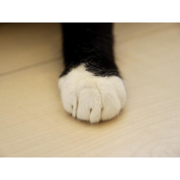 TAMRON(タムロン) カメラレンズ 18-300mm F/3.5-6.3 Di III-A VC VXD（Model B061S）    ［ソニーE /ズームレンズ］ [振込不可][代引不可] | TAMRON | 08