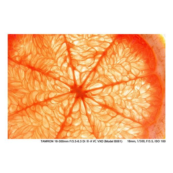 TAMRON(タムロン) カメラレンズ 18-300mm F/3.5-6.3 Di III-A VC VXD（Model B061X）    ［FUJIFILM X /ズームレンズ］ 【864】 [振込不可] | TAMRON | 06