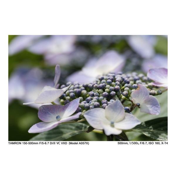 TAMRON(タムロン) カメラレンズ 150-500mm F/5-6.7 Di III VC VXD（Model A057X）    ［FUJIFILM X /ズームレンズ］ [振込不可][代引不可] | TAMRON | 17