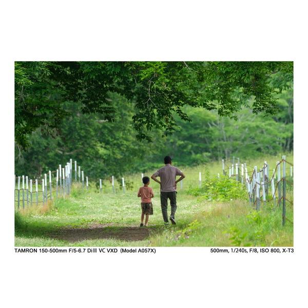 TAMRON(タムロン) カメラレンズ 150-500mm F/5-6.7 Di III VC VXD（Model A057X）    ［FUJIFILM X /ズームレンズ］ [振込不可][代引不可] | TAMRON | 19