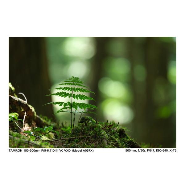 TAMRON(タムロン) カメラレンズ 150-500mm F/5-6.7 Di III VC VXD（Model A057X）    ［FUJIFILM X /ズームレンズ］ [振込不可][代引不可] | TAMRON | 20