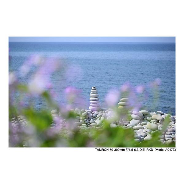 TAMRON(タムロン) カメラレンズ 70-300mm F/4.5-6.3 Di III RXD（Model A047Z）    ［ニコンZ /ズームレンズ］ 【864】 | TAMRON | 13