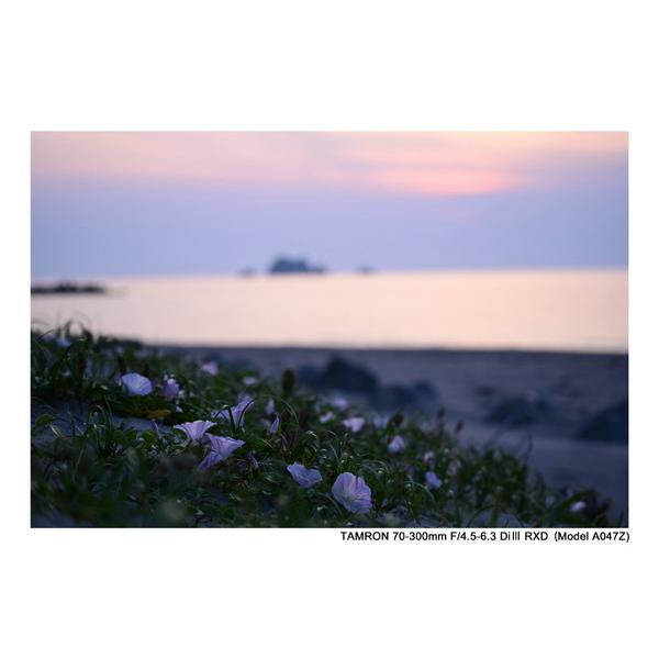TAMRON(タムロン) カメラレンズ 70-300mm F/4.5-6.3 Di III RXD（Model A047Z）    ［ニコンZ /ズームレンズ］ 【864】 | TAMRON | 15
