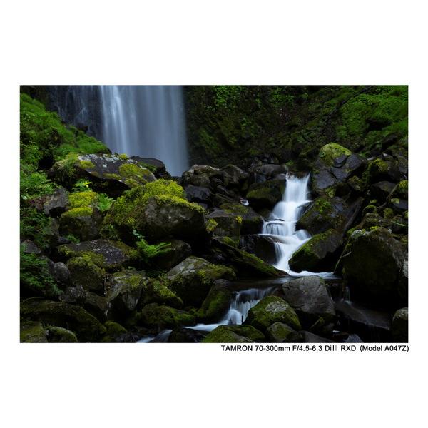 TAMRON(タムロン) カメラレンズ 70-300mm F/4.5-6.3 Di III RXD（Model A047Z）    ［ニコンZ /ズームレンズ］ 【864】 | TAMRON | 07