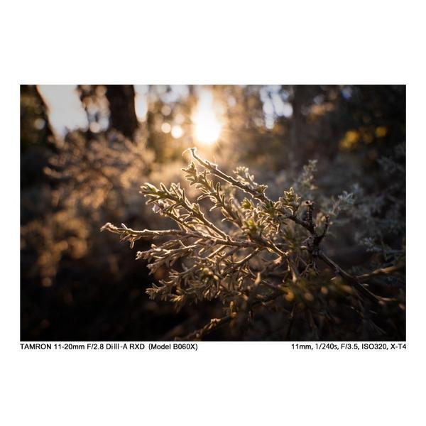 TAMRON(タムロン) カメラレンズ 11-20mm F/2.8 Di III-A RXD（Model B060X）    ［FUJIFILM X /ズームレンズ］ [代引不可] | TAMRON | 09