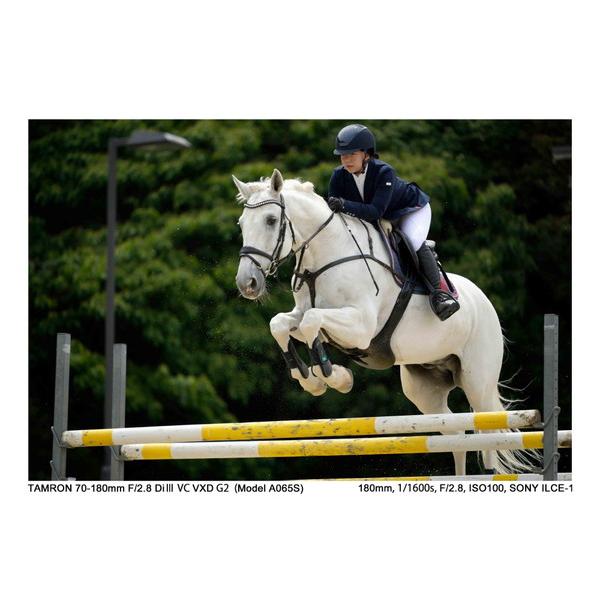 TAMRON(タムロン) カメラレンズ 70-180mm F/2.8 Di III VC VXD G2（Model A065S）    ［ソニーE /ズームレンズ］ [代引不可] | TAMRON | 10