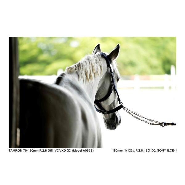 TAMRON(タムロン) カメラレンズ 70-180mm F/2.8 Di III VC VXD G2（Model A065S）    ［ソニーE /ズームレンズ］ [代引不可] | TAMRON | 11