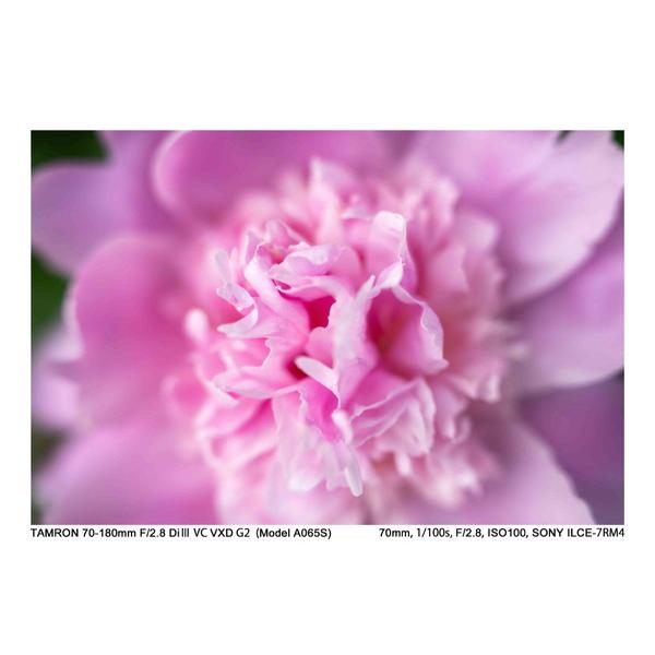 TAMRON(タムロン) カメラレンズ 70-180mm F/2.8 Di III VC VXD G2（Model A065S）    ［ソニーE /ズームレンズ］ [代引不可] | TAMRON | 19