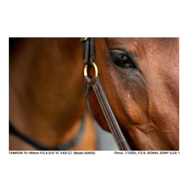 TAMRON(タムロン) カメラレンズ 70-180mm F/2.8 Di III VC VXD G2（Model A065S）    ［ソニーE /ズームレンズ］ [代引不可] | TAMRON | 09