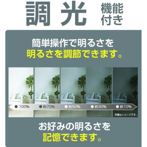 瀧住 和風LEDペンダントライト   RVR80115 ［昼光色 /リモコン付属］ |  | 04