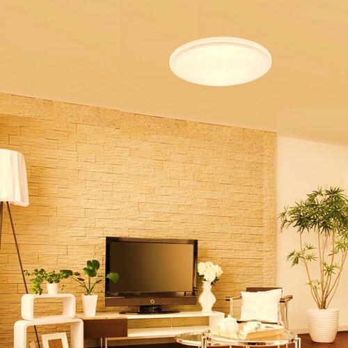 シーリングライト 鳥シーリングライト Amazon | aircorno 016 シーリングライト LED 4灯 おしゃれ 4畳
