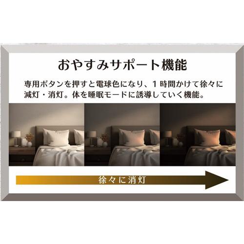 瀧住 LEDシーリングライト GHA89219XC ［8畳 /昼光色〜電球色