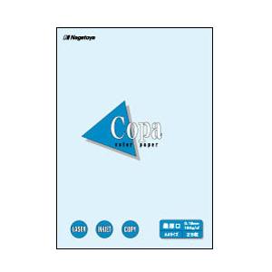 長門屋商店 ナ-1510 カラーペーパーCopa（コパ）最厚口 A3 水 25枚 | 