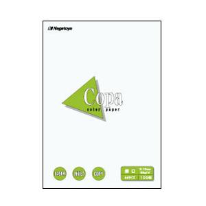 長門屋商店 ナ-3301 カラーペーパーCopa（コパ）厚口 A4 白 100枚 | 
