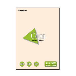 長門屋商店 ナ-3315 カラーペーパーCopa（コパ）厚口 A4 アイボリー 100枚 | 