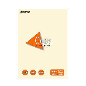 長門屋商店 ナ-3402 カラーペーパーCopa（コパ）特厚口 A4 レモン 50枚 | 