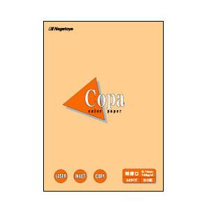 長門屋商店 ナ−３４１８　カラーペーパーCopa(コパ)　特厚口　A4　オレンジ　50枚 | 
