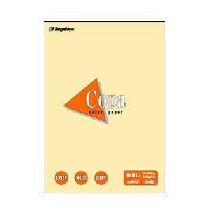 長門屋商店 ナ-4403 カラーペーパーCopa（コパ）特厚口 B5 クリーム 50枚 | 