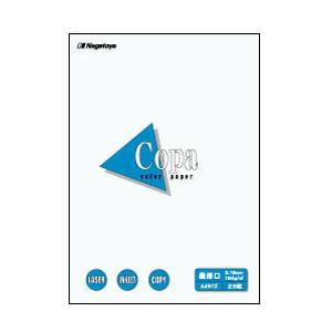長門屋商店 ナ-4501 カラーペーパーCopa（コパ）最厚口 B5 白 25枚 | 