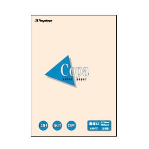 長門屋商店 ナ-4515 カラーペーパーCopa（コパ）最厚口 B5 アイボリー 25枚 | 