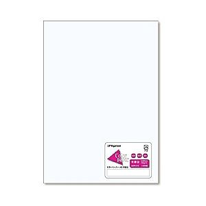 長門屋商店 “カラーペーパー” 中厚口 白 （A5サイズ・100枚）　ナ-5201 | 