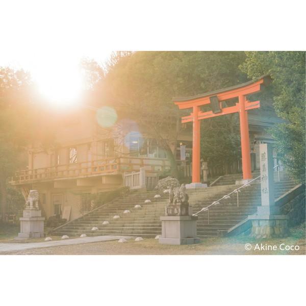 ケンコー・トキナー 特殊効果用フィルター 「NOSTALTONE（ノスタルトーン）」  オレンジ | ケンコー・トキナー | 03