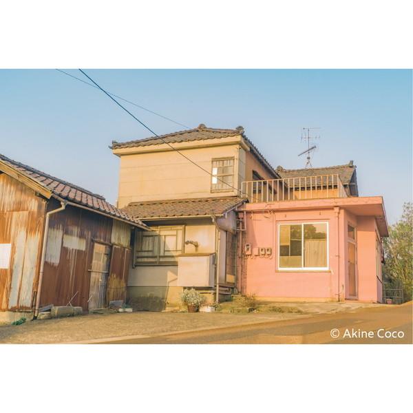 ケンコー・トキナー 特殊効果用フィルター 「NOSTALTONE（ノスタルトーン）」  オレンジ | ケンコー・トキナー | 04