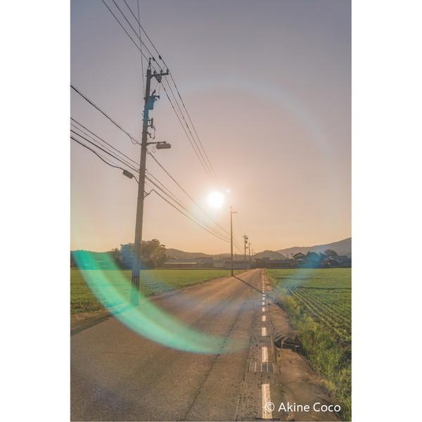 ケンコー・トキナー 特殊効果用フィルター 「NOSTALTONE（ノスタルトーン）」  オレンジ | ケンコー・トキナー | 08