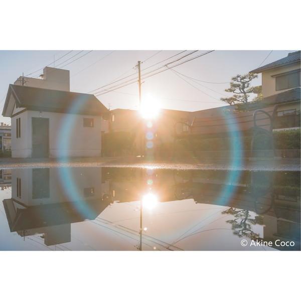 ケンコー・トキナー 特殊効果用フィルター 「NOSTALTONE（ノスタル