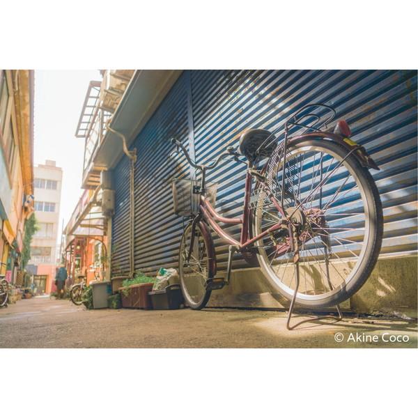 ケンコー・トキナー 特殊効果用フィルター 「NOSTALTONE（ノスタルトーン）」  オレンジ | ケンコー・トキナー | 06