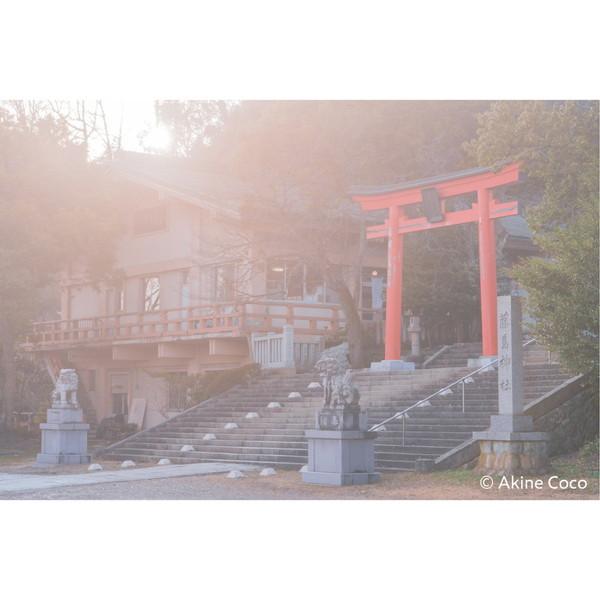 ケンコー・トキナー 特殊効果用フィルター 「NOSTALTONE（ノスタルトーン）」  ブルー | ケンコー・トキナー | 05