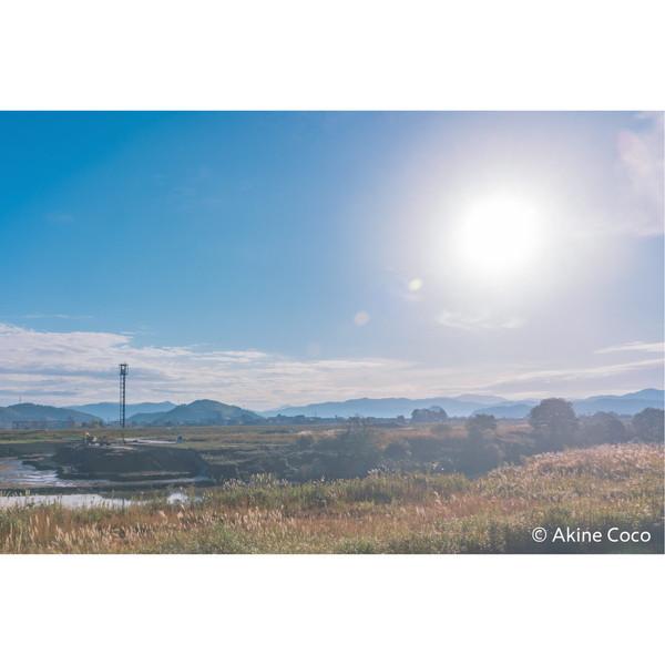 ケンコー・トキナー 特殊効果用フィルター 「NOSTALTONE（ノスタルトーン）」  ブルー | ケンコー・トキナー | 06